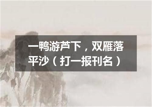 一鸭游芦下，双雁落平沙（打一报刊名）