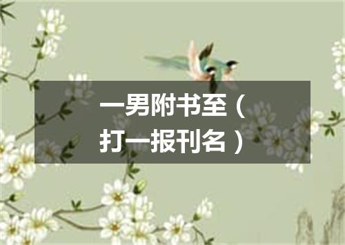 一男附书至（打一报刊名）