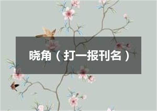 晓角（打一报刊名）