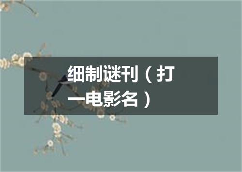 细制谜刊（打一电影名）