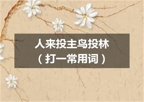 人来投主鸟投林（打一常用词）