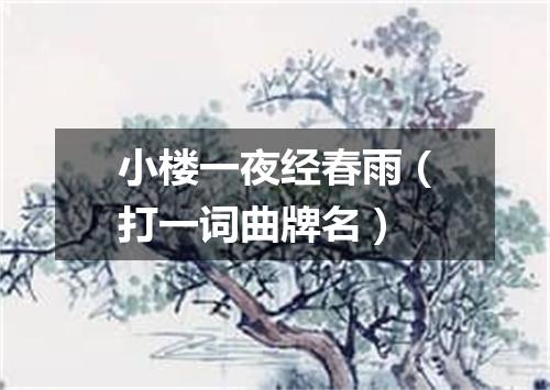小楼一夜经春雨（打一词曲牌名）