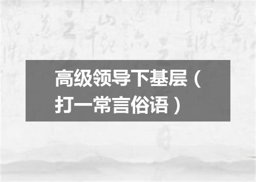 高级领导下基层（打一常言俗语）