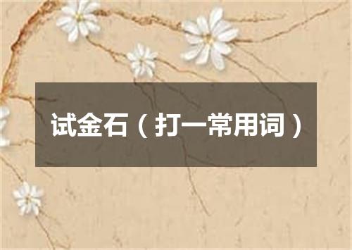 试金石（打一常用词）