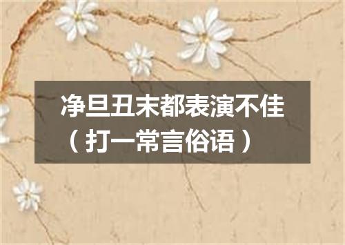 净旦丑末都表演不佳（打一常言俗语）