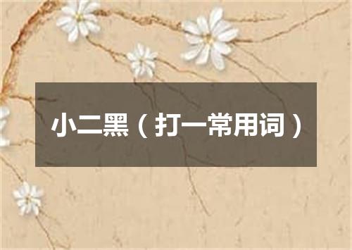 小二黑（打一常用词）