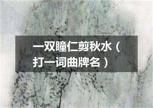 一双瞳仁剪秋水（打一词曲牌名）