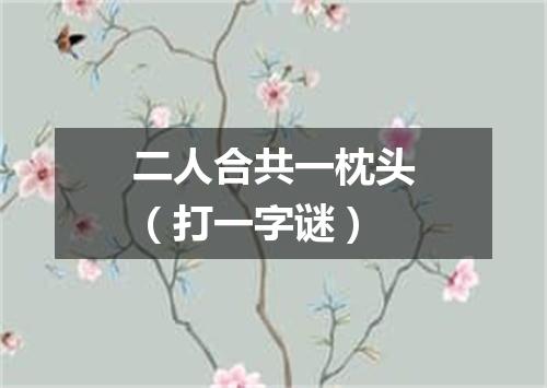 二人合共一枕头（打一字谜）