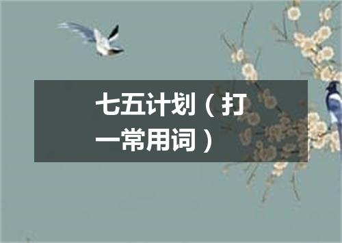 七五计划（打一常用词）