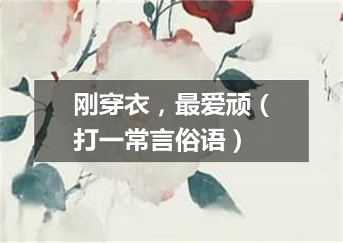 刚穿衣，最爱顽（打一常言俗语）