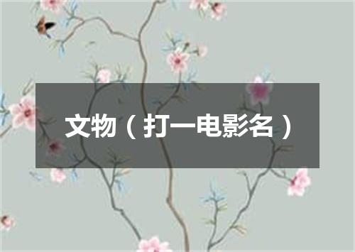 文物（打一电影名）