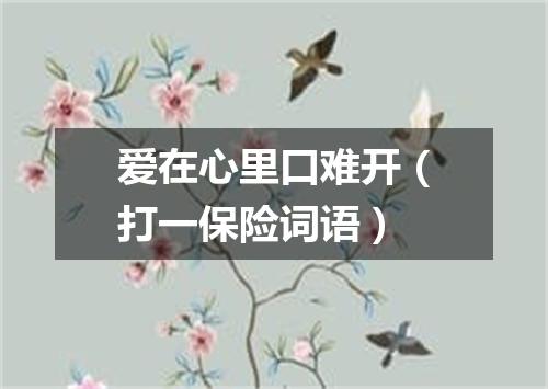爱在心里口难开（打一保险词语）