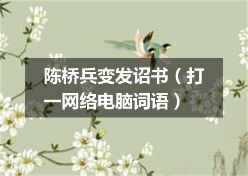 陈桥兵变发诏书（打一网络电脑词语）