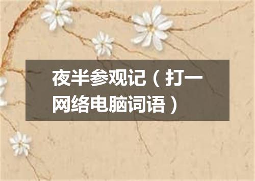 夜半参观记（打一网络电脑词语）