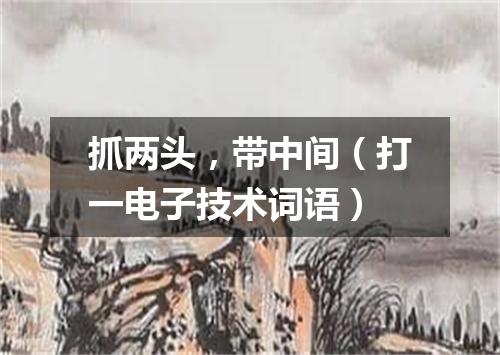 抓两头，带中间（打一电子技术词语）