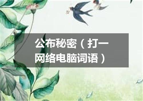 公布秘密（打一网络电脑词语）