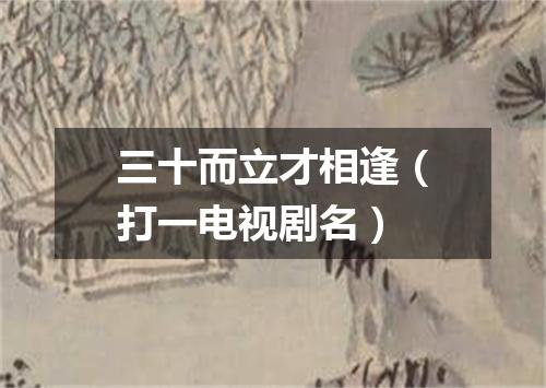 三十而立才相逢（打一电视剧名）