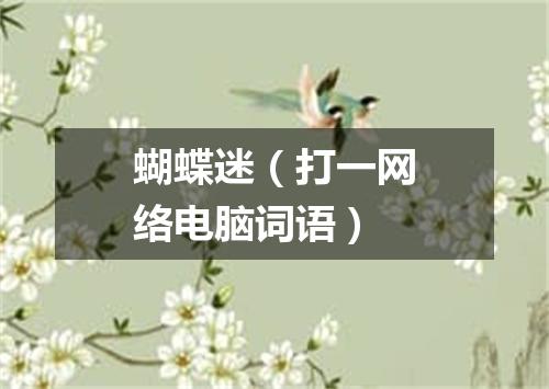 蝴蝶迷（打一网络电脑词语）