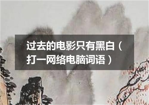 过去的电影只有黑白（打一网络电脑词语）