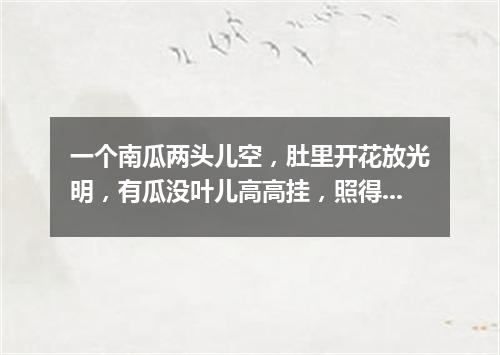 一个南瓜两头儿空，肚里开花放光明，有瓜没叶儿高高挂，照得面前一片红。（打一物）
