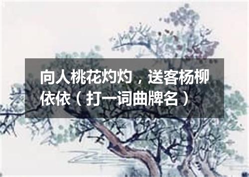 向人桃花灼灼，送客杨柳依依（打一词曲牌名）