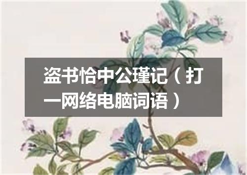 盗书恰中公瑾记（打一网络电脑词语）