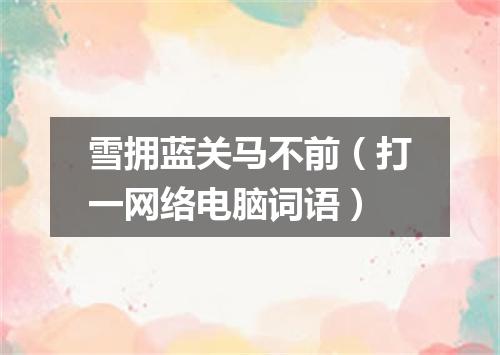 雪拥蓝关马不前（打一网络电脑词语）