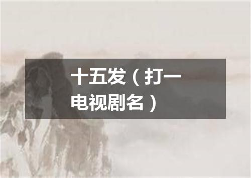 十五发（打一电视剧名）