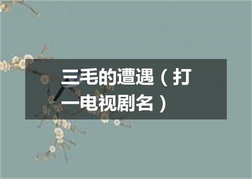 三毛的遭遇（打一电视剧名）