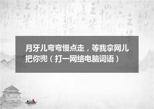 月牙儿弯弯慢点走，等我拿网儿把你兜（打一网络电脑词语）