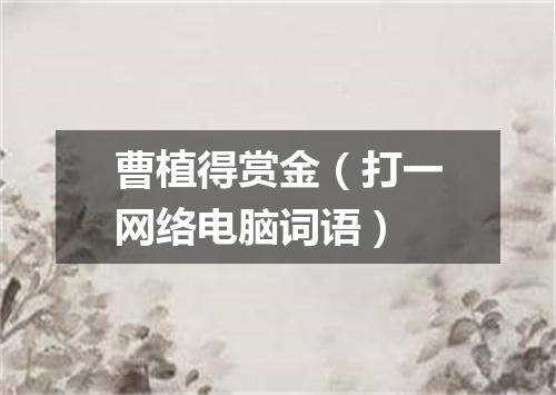 曹植得赏金（打一网络电脑词语）