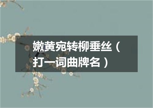 嫩黄宛转柳垂丝（打一词曲牌名）