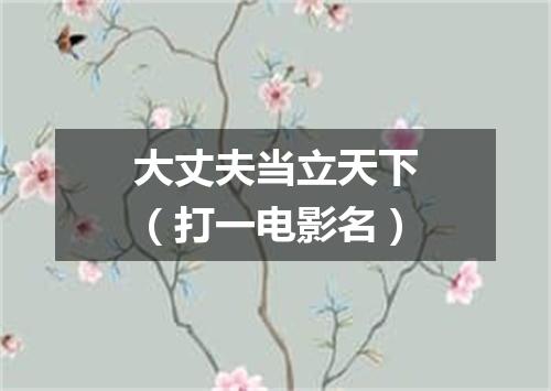大丈夫当立天下（打一电影名）