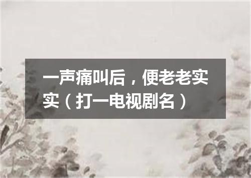 一声痛叫后，便老老实实（打一电视剧名）