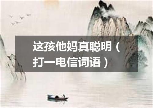 这孩他妈真聪明（打一电信词语）