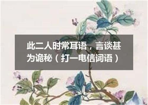 此二人时常耳语，言谈甚为诡秘（打一电信词语）