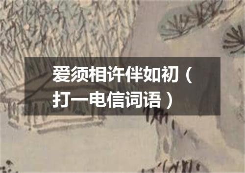 爱须相许伴如初（打一电信词语）