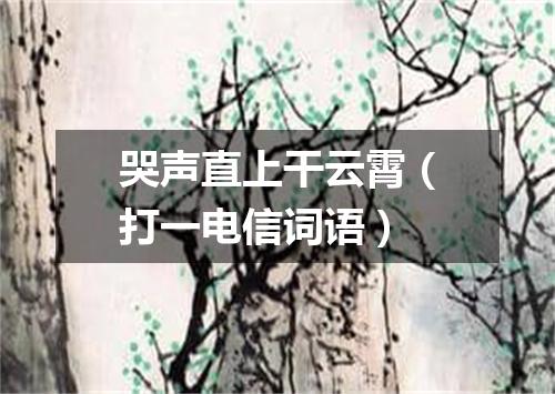 哭声直上干云霄（打一电信词语）