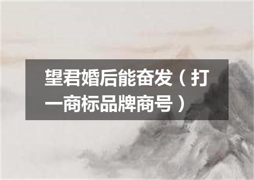 望君婚后能奋发（打一商标品牌商号）