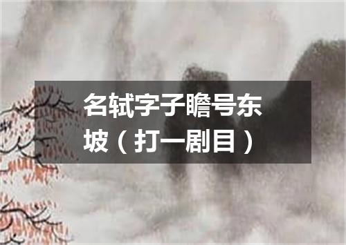 名轼字子瞻号东坡（打一剧目）