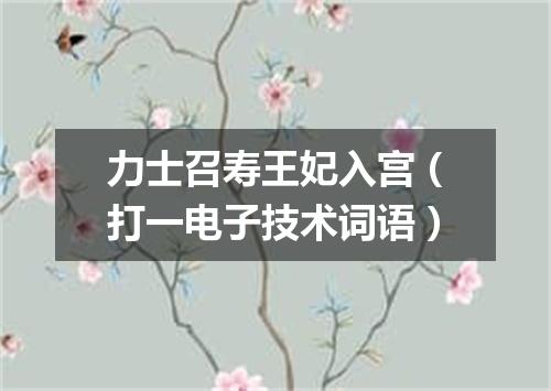 力士召寿王妃入宫（打一电子技术词语）