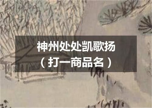 神州处处凯歌扬（打一商品名）