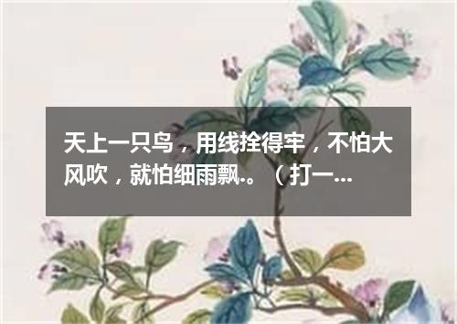 天上一只鸟，用线拴得牢，不怕大风吹，就怕细雨飘.。（打一玩具）