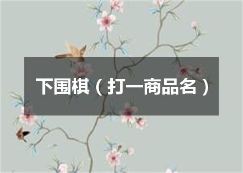 下围棋（打一商品名）