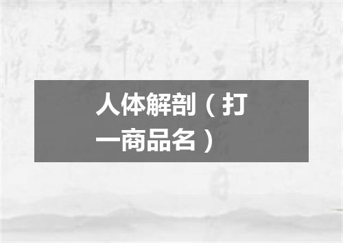 人体解剖（打一商品名）