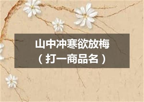 山中冲寒欲放梅（打一商品名）