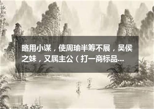 略用小谋，使周瑜半筹不展，吴侯之妹，又属主公（打一商标品牌商号）