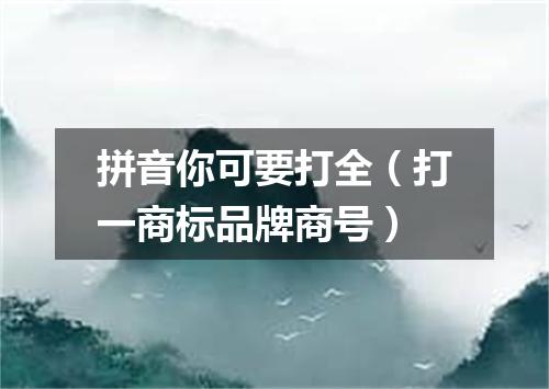 拼音你可要打全（打一商标品牌商号）