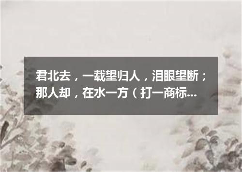 君北去，一载望归人，泪眼望断；那人却，在水一方（打一商标品牌商号）