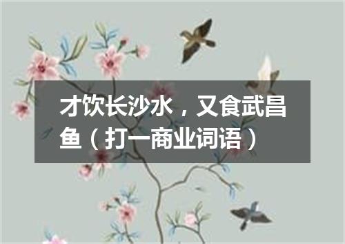才饮长沙水，又食武昌鱼（打一商业词语）